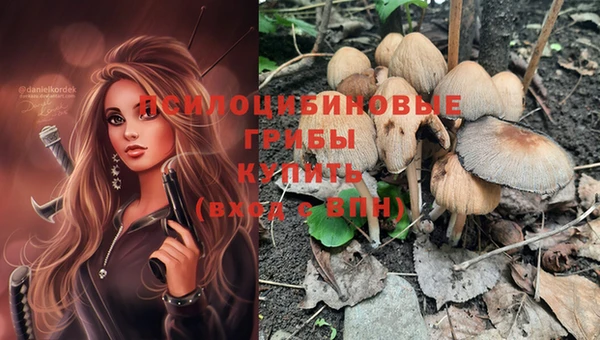 jwh Белокуриха