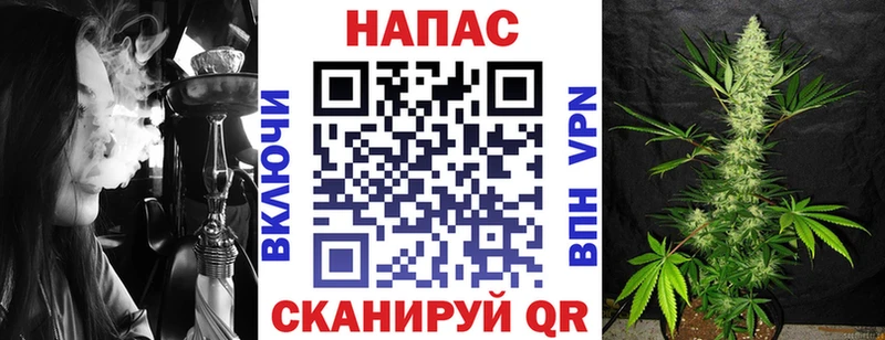Конопля OG Kush Славгород
